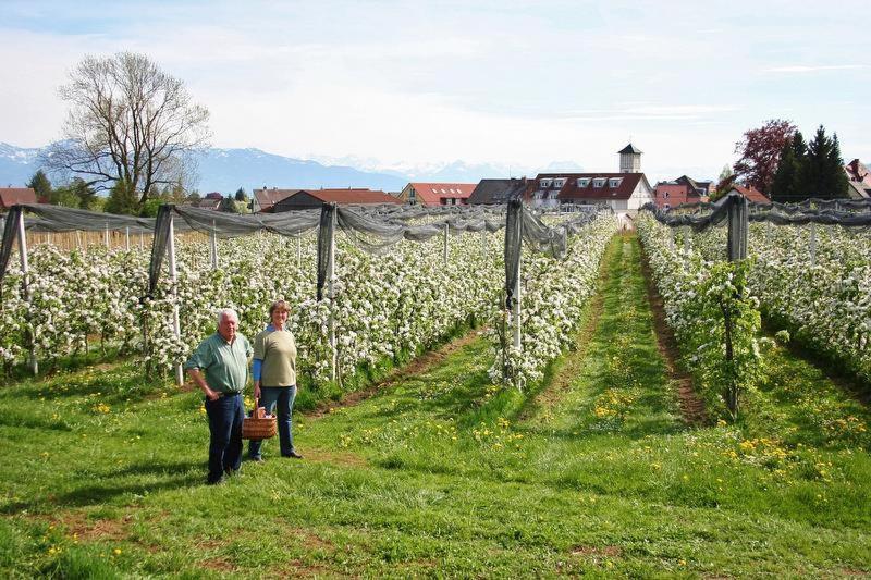 Ferienhof Schoengarten 林道 外观 照片